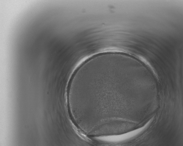 X0000080101372200612221727