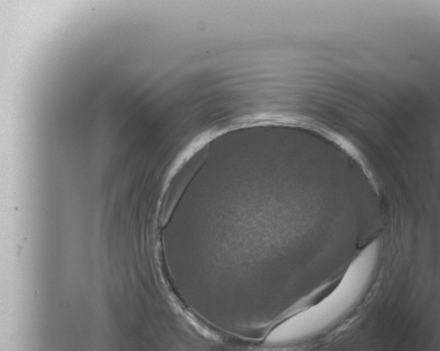 X0000080101373200612221727