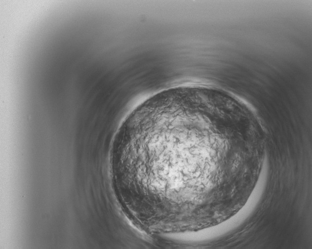 X0000080101375200612221727