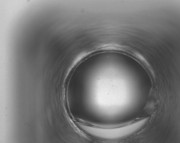 X0000080101376200612221727