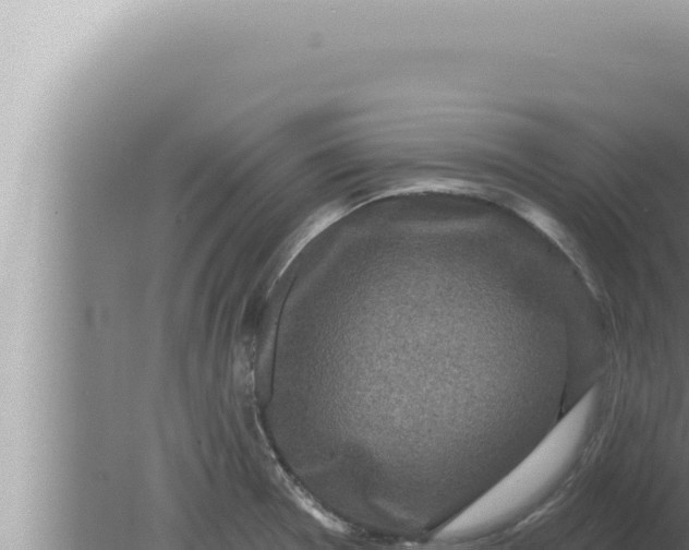 X0000080101377200612221727