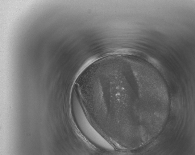 X0000080101378200612221727