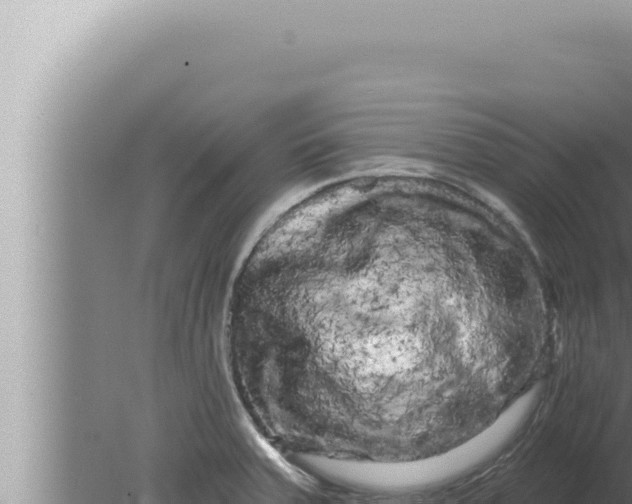 X0000080101379200612221727