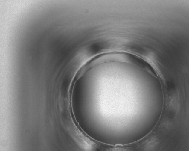 X0000080101380200612221727