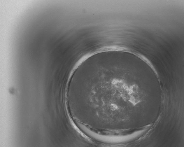 X0000080101381200612221727