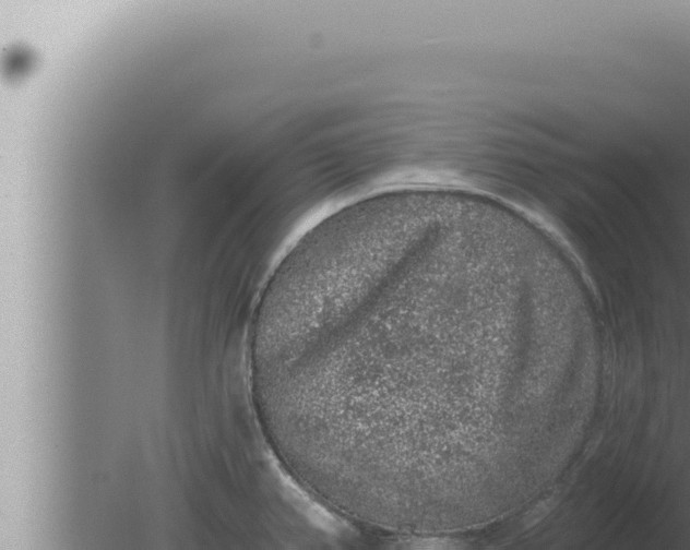 X0000080101382200612221727