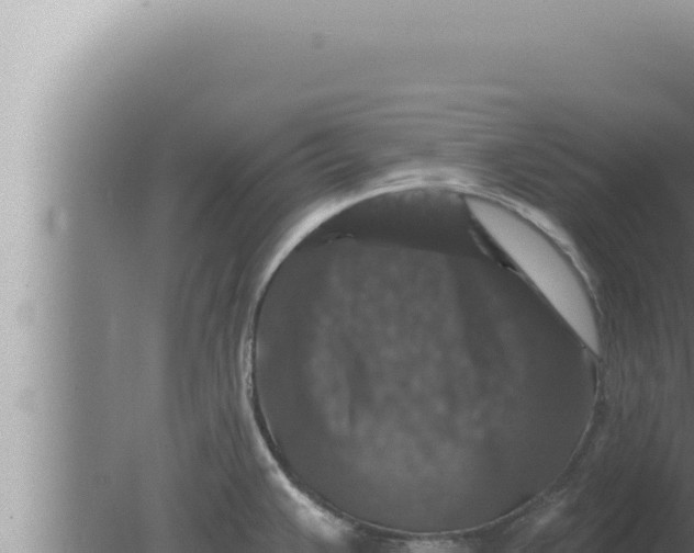 X0000080101383200612221727