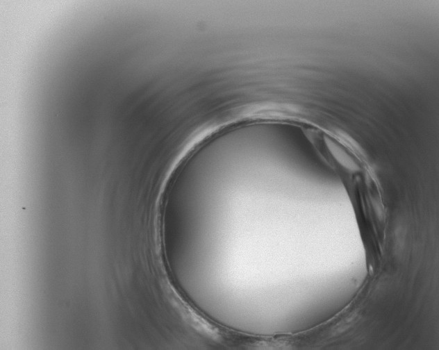 X0000080101384200612221727