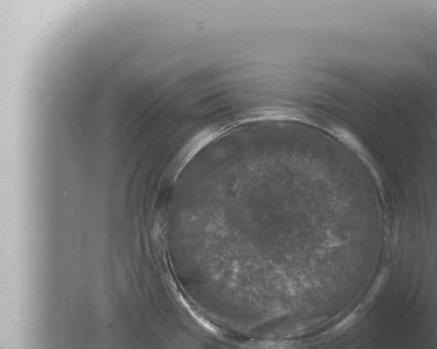 X0000080101385200612221727