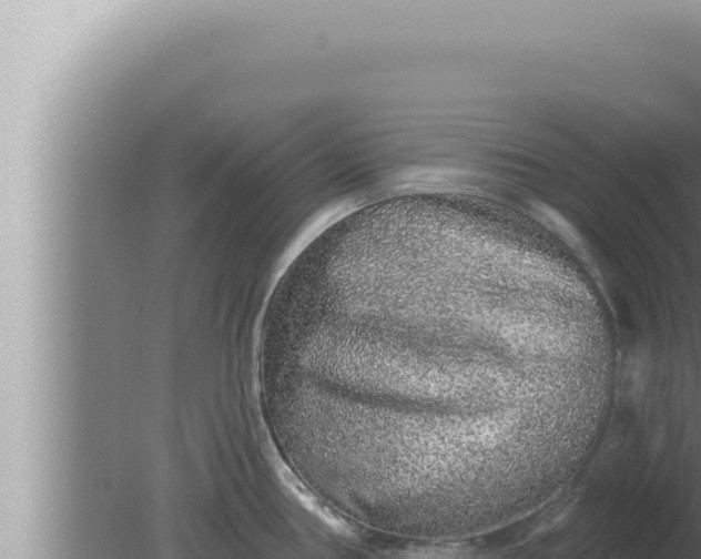 X0000080101386200612221727