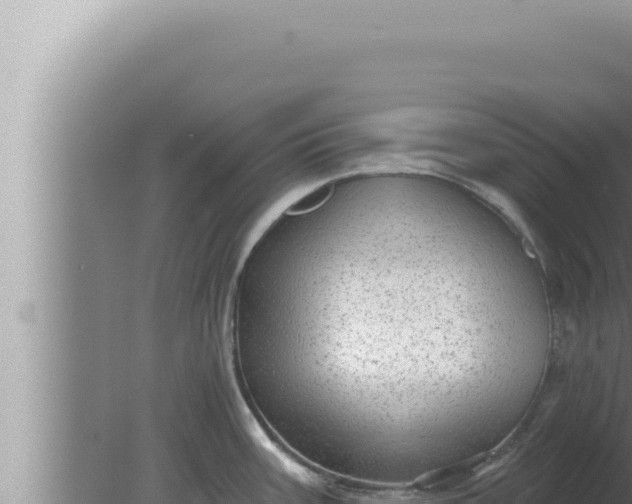 X0000080101387200612221727