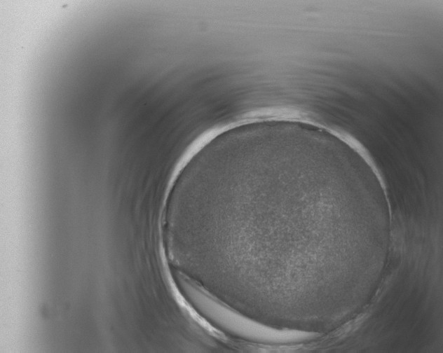 X0000080101389200612221727