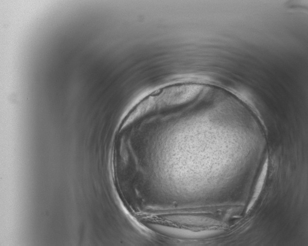 X0000080101391200612221727