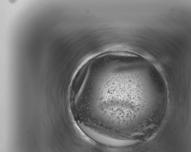 X0000080101392200612221727