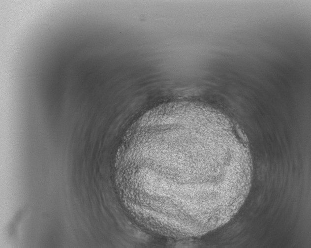 X0000080101393200612221726