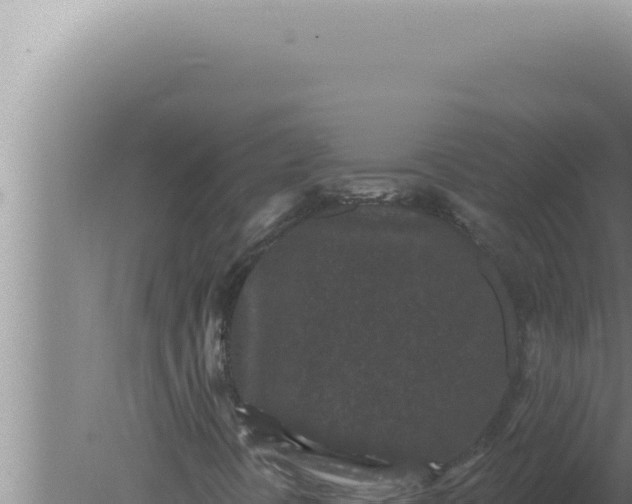 X0000080101394200612221726