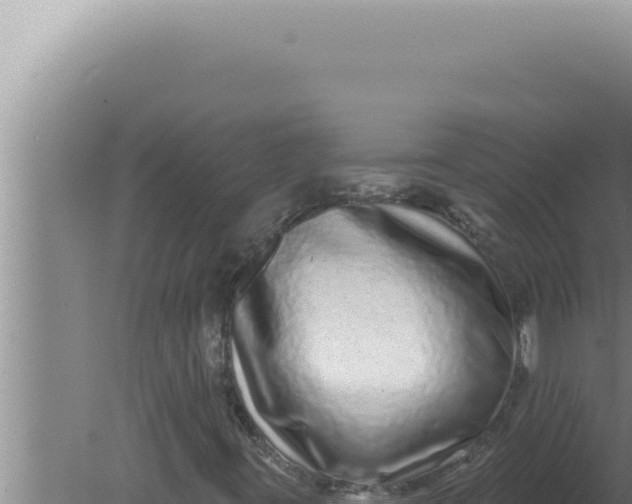 X0000080101395200612221726