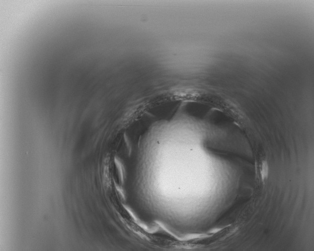 X0000080101396200612221726