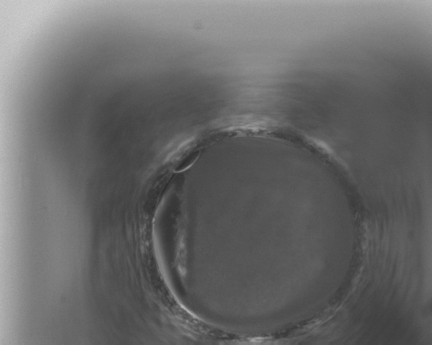 X0000080101399200612221726