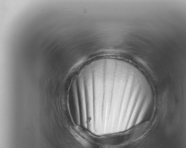 X0000080101403200612221727