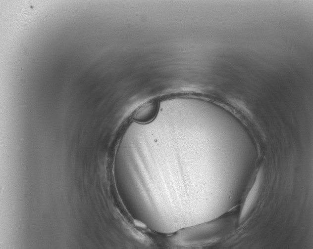 X0000080101404200612221727