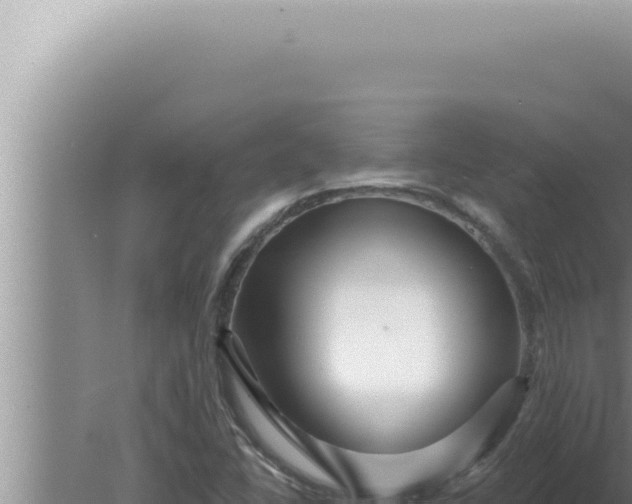 X0000080101406200612221727