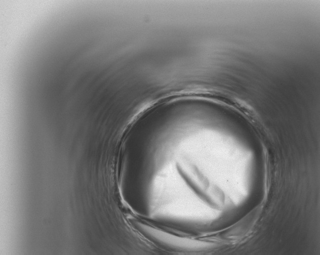 X0000080101409200612221727