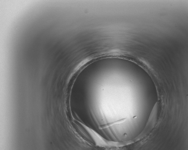 X0000080101410200612221727