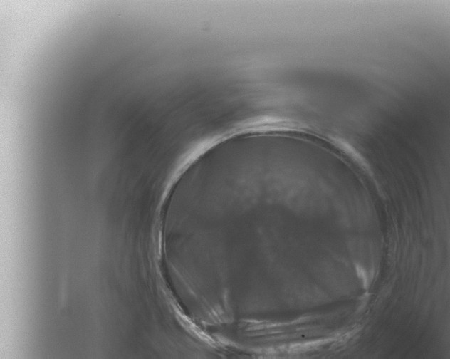 X0000080101413200612221727