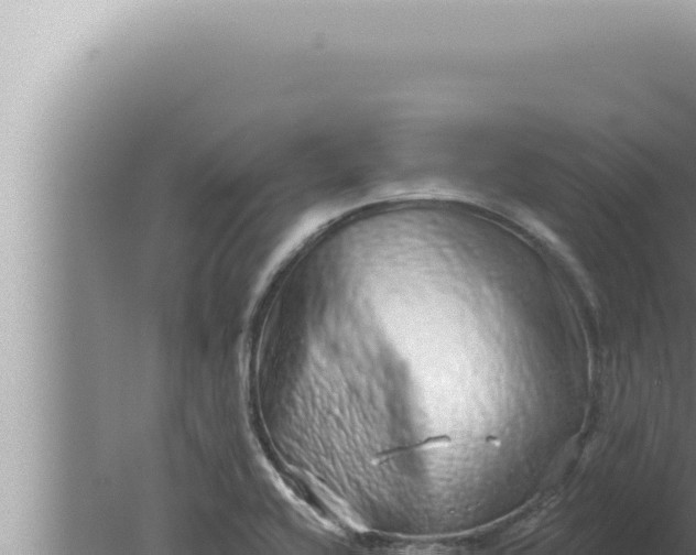 X0000080101416200612221727