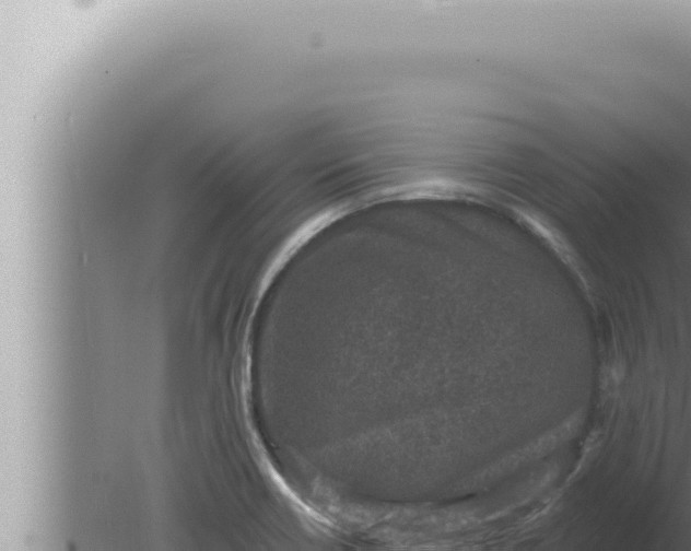 X0000080101418200612221727