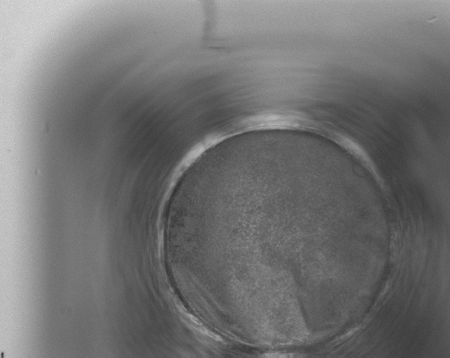 X0000080101419200612221727