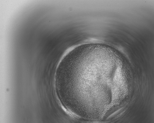 X0000080101421200612221727