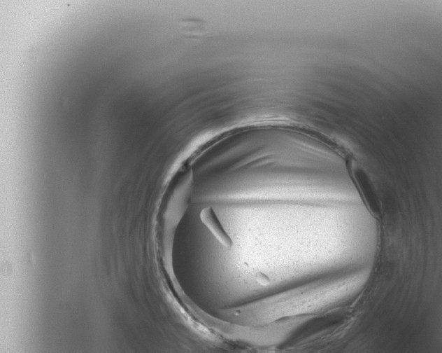 X0000080101422200612221727