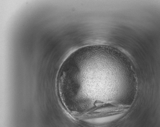 X0000080101423200612221727