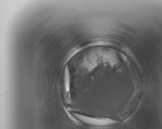 X0000080101425200612221727