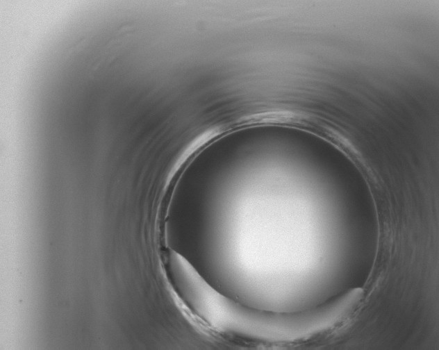 X0000080101426200612221727