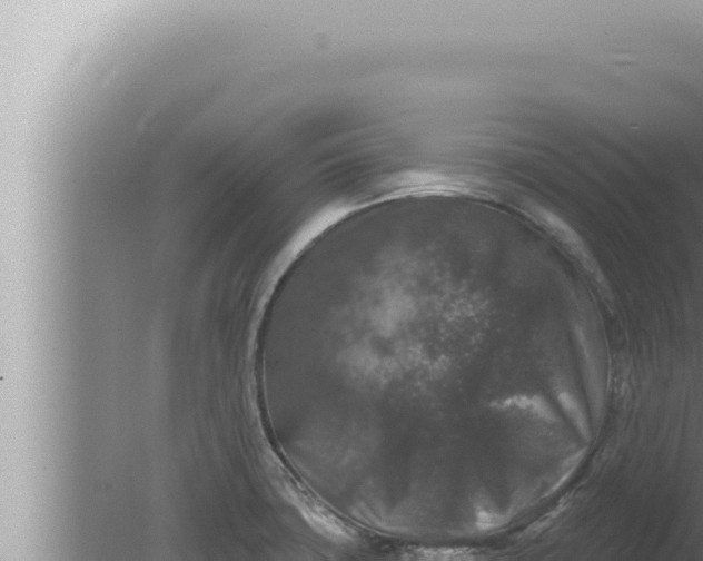 X0000080101427200612221727