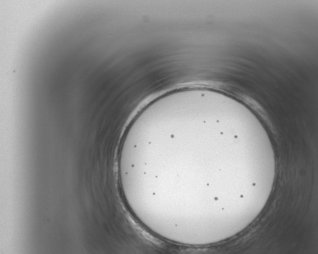 X0000080101428200612221727