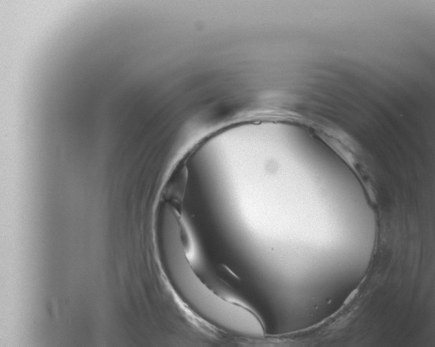 X0000080101430200612221727