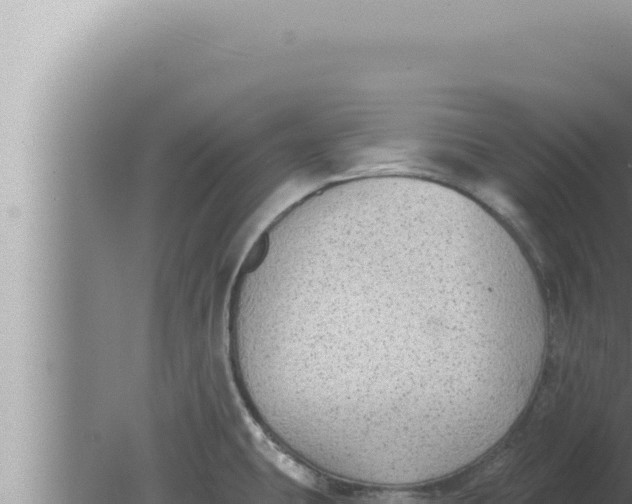 X0000080101431200612221727