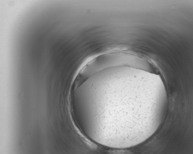 X0000080101432200612221727