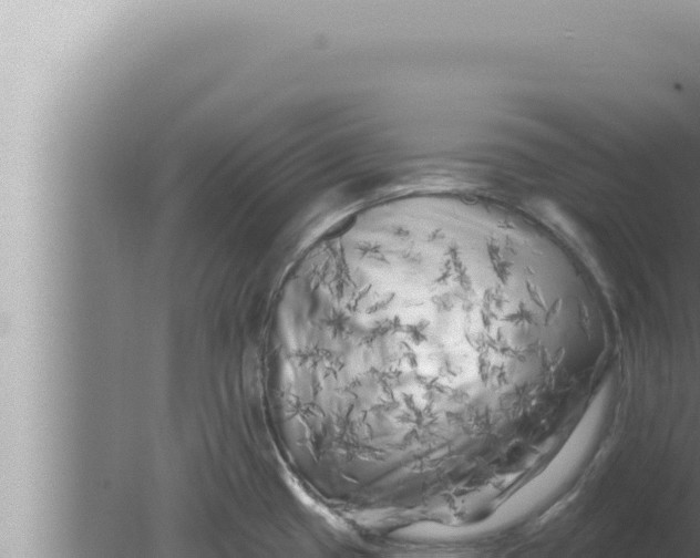 X0000080101433200612221727