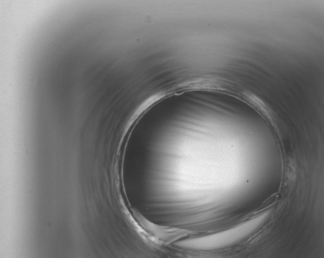 X0000080101434200612221727