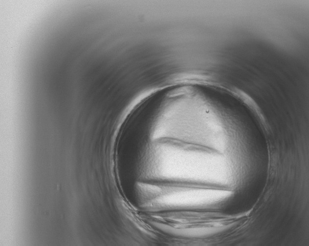 X0000080101435200612221727