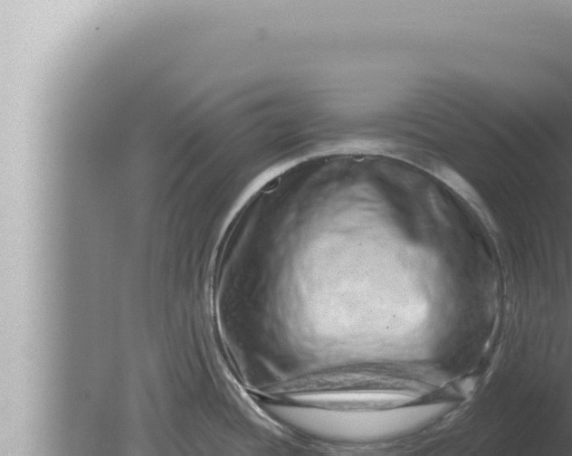 X0000080101436200612221727