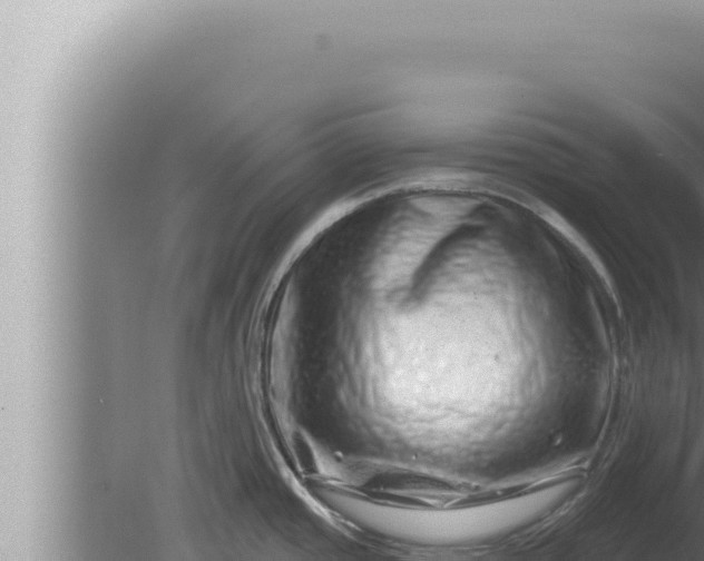 X0000080101437200612221727