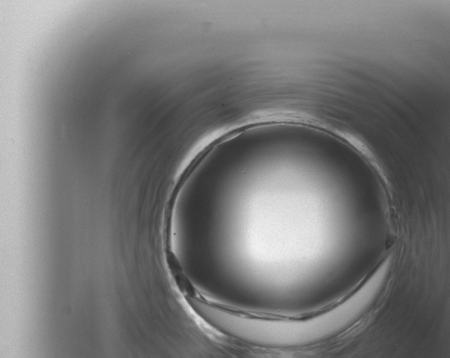 X0000080101438200612221727