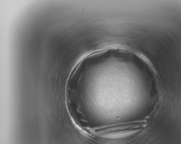 X0000080101439200612221727