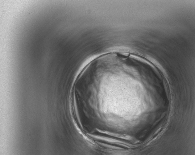 X0000080101440200612221727